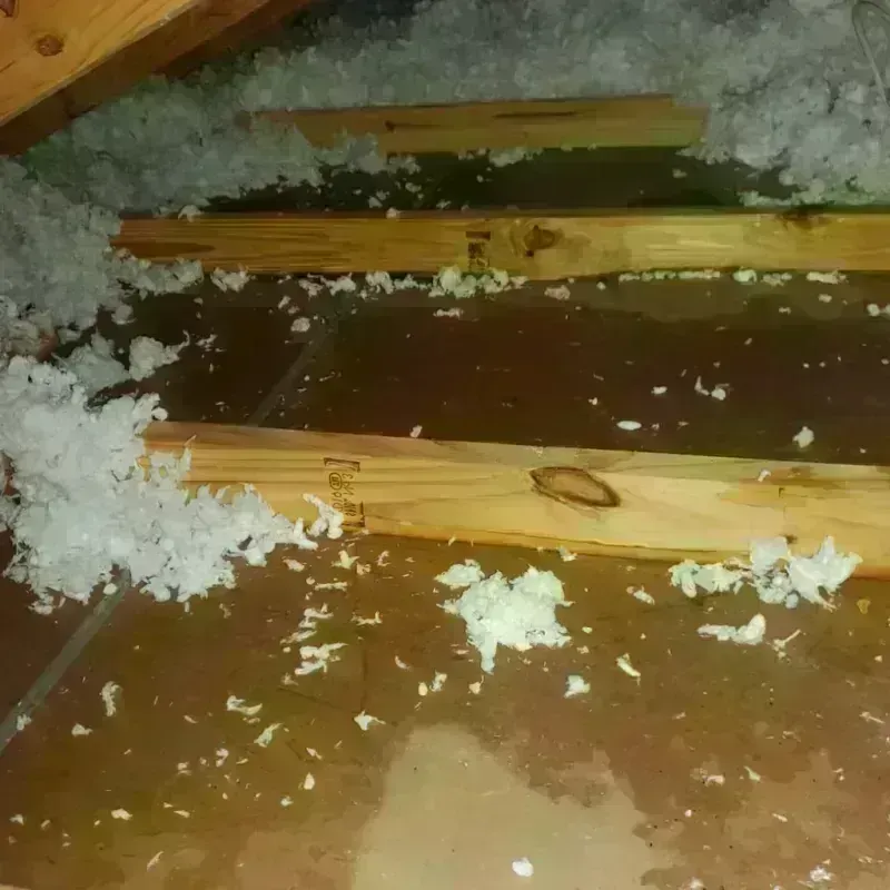 Attic Water Damage in Gifford, IL