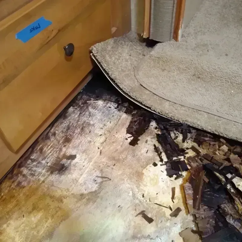 Wood Floor Water Damage in Gifford, IL